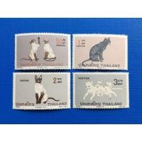 ราคา แสตมป์ชุดแมวไทย (มือสอง) (333417976)