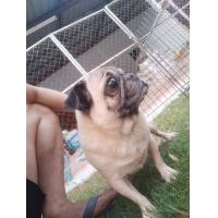 ราคา ปั๊กเมีย (360917706)