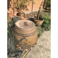 ราคา โอ่งมังกร กระถางต้นไม้ ขายเหมา ขายโล๊ะ (มือสอง) (360887041)