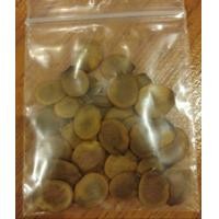 ราคา เมล็ดพันธุ์ต้นชงโคหรือเสี้ยวดอกแดง ไม้มงคล ไม้ประดับ 15 เมล็ด (มือหนึ่ง) (360872226)