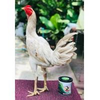 ราคา เยียร์ ขาว (360864624)