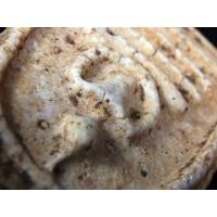 ราคา สมเด็จวัดระฆัง องค์ลุงพุฒ หลังกระดาน สวยมาก AA11965 (มือสอง) (350565306)