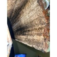 ราคา บริการ ล้างแอร์ ซ่อมแอร์ ถอดแอร์ ติดตั้งแอร์บ้าน (360879414)