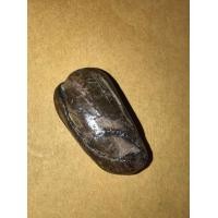 ราคา คตขนุน ขนาดประมาณ ยาว 4 ซม กว้าง 1 ซม ผิวสีน้ำตาลอมดำ ผิวลื่น มัน แห้ง แตกลาน เก่า อายุหลายร้อยปี แท้ เรียบเนียนไม่มีรอยคมมือ รูปทรงแบบนี้หา (มือสอง) (360848297)