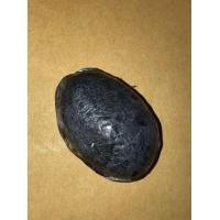 ราคา เบี้ยแก้ หลวงปู่บุญ วัดกลางบางแก้ว มีรอยจารมือเฑาะว์ เนื้อตะกั่วเปลือย เนื้อเหี่ยว ยุบย่น มีไขขึ้น มีสีแดงเป็นจ้ำๆ ของหลวงปู่บุญ รอยจารลึก ข (มือสอง) (360848207)