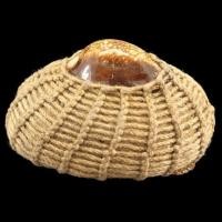 ราคา เบี้ยแก้ไหมถักเชือกรอบ หลวงปู่เจือวัดกลางบางแก้ว อ.นครชัยศรี จ.นครปฐม เมตตามหานิยม (มือหนึ่ง) (355093810)