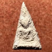 ราคา พระสมเด็จนางพญา กรุวัดบพิตรพิมุข เนื้อผง สร้างปี พ.ศ.2496 บรรจุกรุปี พ.ศ. 2504 กรุงเทพฯ (มือหนึ่ง) (360850182)