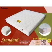 ราคา ที่นอนสปริง A+ รุ่น Standard สแตนดาร์ด (มือหนึ่ง) (136184725)