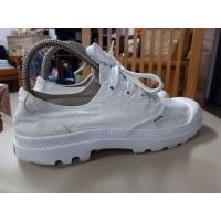 ราคา palladium (มือสอง) (358776311)