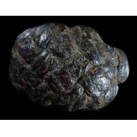 ราคา แหวนพิรอด หลวงพ่อม่วง วัดบ้านทวน (มือสอง) (348343074)