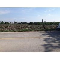 ราคา ขายที่ดิน 5 ไร่ 167 ตรว พร้อมที่งอก 2 ไร่ (มือหนึ่ง) (336412346)