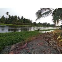 ราคา ที่ดินติดคลองดำเนินสะดวก 10 ไร่ (มือหนึ่ง) (340609788)