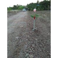 ราคา ที่ดินแบ่งขาย เส้นถนนสวนส้ม 2037 ตำบลสวนส้ม จังหวัดสมุทรสาคร (มือหนึ่ง) (339940378)