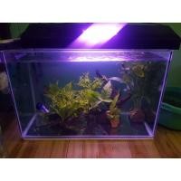 ราคา ตู้ปลา 24×12×15" (มือสอง) (360822651)