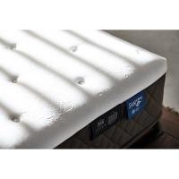 ราคา ที่นอนโลตัส รุ่น Success ขนาด 5 ฟุต ความสูง 12 นิ้ว (มือหนึ่ง) (359620152)