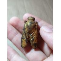 ราคา แมลงภู่ไม้แกะไม้ดุมล้อเกวียนเก่าๆเขย่ามีเสียงจ้าอุดปรอทตัวโตนิ้วครึ่ง (มือสอง) (360828685)