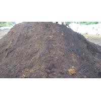 ราคา ขายดินปลูกต้นไม้ราคาถูกค่ะ (มือหนึ่ง) (357256896)