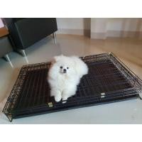 ราคา กรงสุนัข (มือสอง) (360812770)