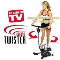 ราคา Cardio Twister - Fitness Equipment