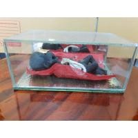 ราคา กุมารผงยาปั้นของหลวงพ่อเต๋คงทอง วัดสามง่าม จ.นครปฐมพร้อมกล่องกระจก (มือสอง) (358344841)