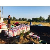 ราคา ดินภูเขาไฟ พร้อมปลูก ดินใบก้ามปู ดินผสมมูลไส้เดือนดินหมักชีวภาพ (มือหนึ่ง) (360784692)