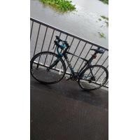 ราคา MASI 49 SHIMANO (มือสอง) (359029282)