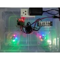 ราคา ตู้ฟักไข่ หรืออนุบาลลูกไก่หลังฟัก แบบใส พัดลมคู่มีแสงสี (มือหนึ่ง) (358529422)