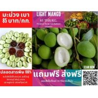ราคา ส่งฟรี มะม่วงเบา 1 กิโล 85 บาท เท่านั้น สดๆ จากต้น ราชบุรี เป็น พันธุ์ สุราษฎร์ธานี อร่อยที่สุดน่ะค่ะ (มือหนึ่ง) (360686078)