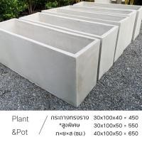 ราคา กระถางปูนเปลือย (มือหนึ่ง) (360762462)