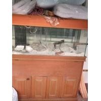ราคา ตู้ปลา (มือสอง) (360767146)