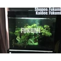 ราคา ตู้ปลา 24 นิ้ว กรองข้างพร้อมขาตั้งและอุปกรณ์ (มือสอง) (355763118)