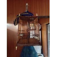 ราคา กรงนก (มือสอง) (360737649)