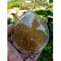 ราคา กะลาแกะราหู (มือสอง) (360749660)