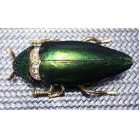 ราคา เข็มกลัดแมลงทับ ตัวเป็นทองเหลืองชุบทองสวยงามเหมือนจริง ใช้ปีกแมลงทับจริงๆในการตกแต่งเข็มกลัด (มือหนึ่ง) (360741013)