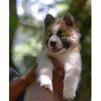 ราคา บางแก้ว (360746079)