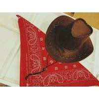 ราคา หมวกคาวบอย อย่างดีราคาถูกสุด ๆ จัดส่งทั่วประเทศ (มือหนึ่ง) (6849606)