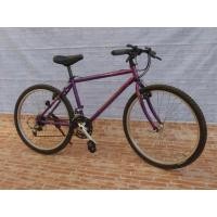 ราคา จักรยานเสือภูเขา Panasonic Mountain Cat เฟรมโครโมลี่ สีม่วง ออกแนวรุ่นเก่า ชุดเกียร์ Shimano 200 gs 21 สปีด ปลดดุม หน้าหลัง เบรกผีเสื้อ ไซส (มือสอง) (113434537)