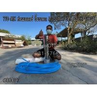 ราคา 770-MIX ท่อนมอเตอร์ ปั๊มบาดาล MITSUMAX บ่อ 6 นิ้ว 3HP (380V) (มือหนึ่ง) (360738014)