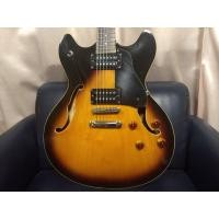 ราคา กีต้าร์ไฟฟ้า Washburn HB-30 ทรง Semi Hollow + กระเป๋า soft case (มือสอง) (356991748)