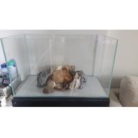 ราคา ตู้ปลาและไม้น้ำ พร้อมอุปกรณ์ครบ (มือสอง) (360724600)