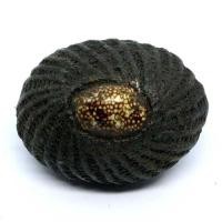 ราคา เบี้ยแก้ หลวงปู่เจือ วัดกลางบางแก้ว นครปฐม พลางนุภาพทางเมตตามหานิยมถักเชือกเทียนรอบ (มือหนึ่ง) (354905927)