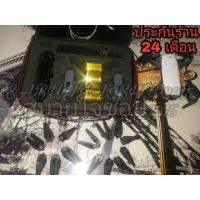 ราคา ขาย DJI Spark Drone ดีเจไอ​ สปาร์ค​ โดรน​ Super ComboSet แบตเตอรี่​6ก้อน​ ใบพัด​เงียบ​8คู่บวกใบเดิม6คู่ มีสายOTGแถมให้ฟรีประกันร้าน24 เดือน​ (มือหนึ่ง) (360575074)