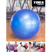 ราคา ลูกบอลโยคะ สีน้ำเงิน (มือหนึ่ง) (356008673)