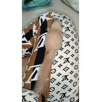 ราคา กระรอกเผือกสระบุรี สายพันธุ์เเท้ ร้อยเปอร์เซ็นต์ (360638656)