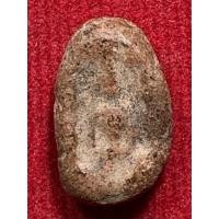 ราคา ซุ้มกอพิมพ์จิ๋ว (มือสอง) (360729788)