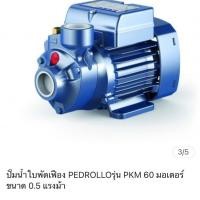 ราคา ปั๊มหอยโข่งอิตาลีแท้ (มือสอง) (360729081)