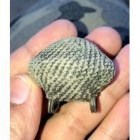 ราคา เบี้ยแก้หลวงปู่เพิ่ม ห่วงเงิน (มือสอง) (360261828)