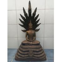 ราคา นาคปรก หน้าตัก9นิ้ว (มือสอง) (360721973)