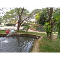 ราคา GIANT rock3x7shimano (มือสอง) (360711799)