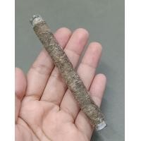 ราคา ตะกรุดเก่าเนื้อขาปิ่นโต (ชมพระทั้งหมดคลิ๊กที่ชื่อ) (มือสอง) (357793553)